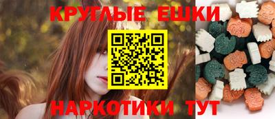 крисы Кингисепп