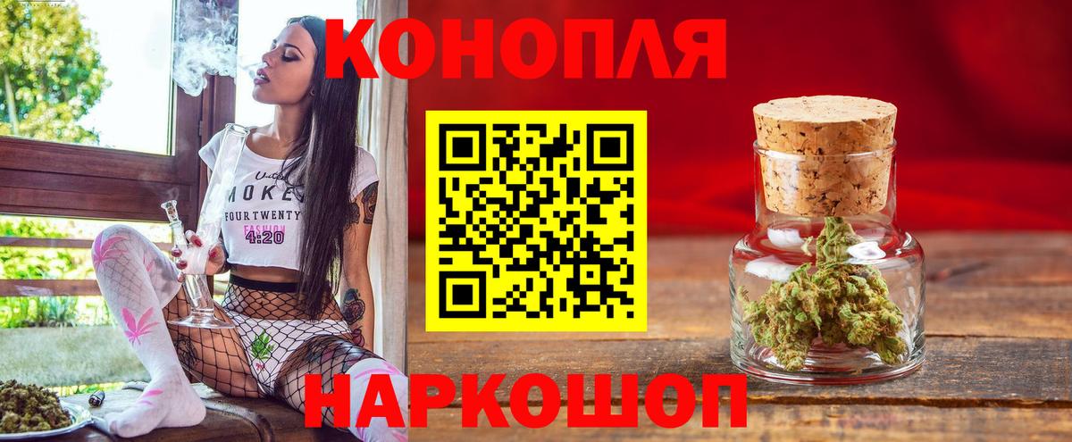 Бошки Шишки сатива Югорск